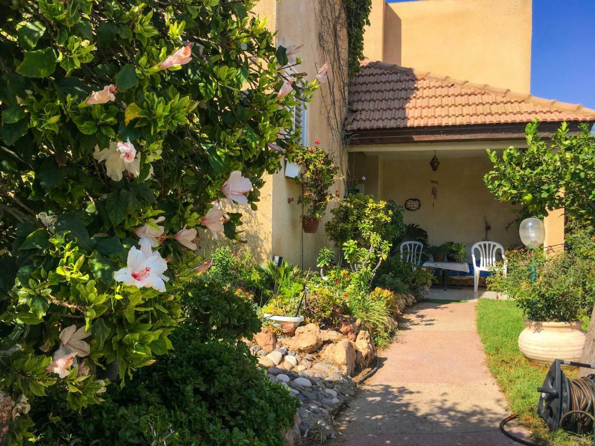 Rio Desert View Apartment Arad Exterior photo